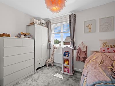 Picture 23